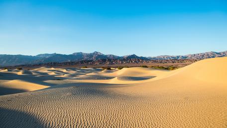 Golden Dunes Under a Clear Sky wallpaper