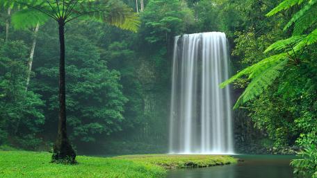 Millaa Millaa Waterfall wallpaper