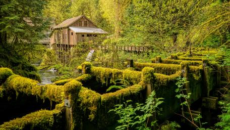 Cedar Creek Grist Mill wallpaper