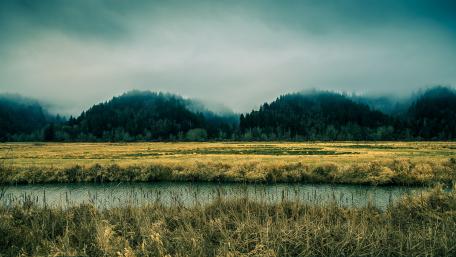 Misty Hills and Fields in 4K Quality wallpaper