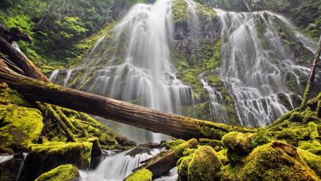 Majestic Waterfall in Lush Forest Scene wallpaper