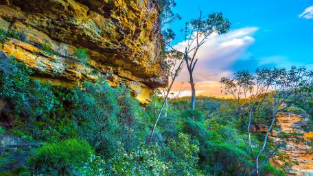 Blue Mountains National Park wallpaper