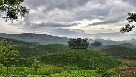 Serene Green Hillscape in 4K Nature Beauty wallpaper