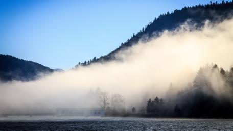 Misty Lake Serenity in Nature's Embrace wallpaper