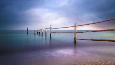 Serene Seascape with a Seagull Above the Horizon wallpaper