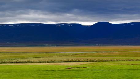 Vast Serenity of the Meadow Landscape wallpaper