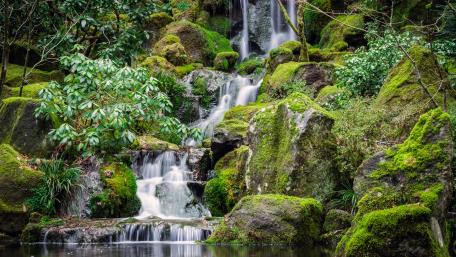 Tranquil Oasis with Mossy Waterfall Scene wallpaper