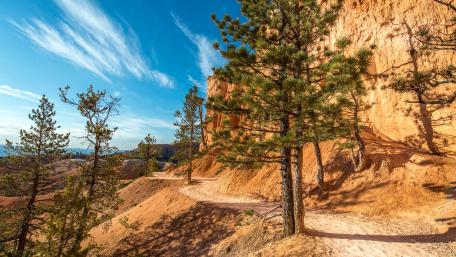 Bryce Canyon National Park wallpaper