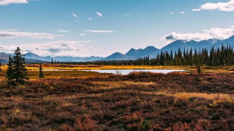Serene Highland Reflection in Nature's Embrace wallpaper