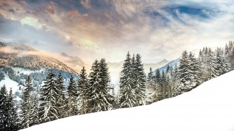 Serene Winter Wonderland Scene wallpaper