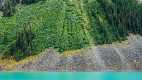 Tranquil Waters and Lush Greenery wallpaper