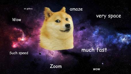 meme  dog wallpaper