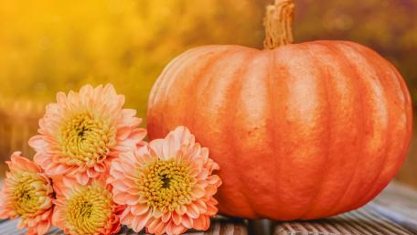Autumn Pumpkin Still Life wallpaper