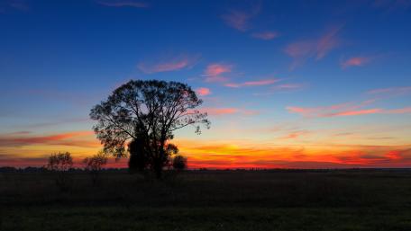 Serene Sunset Over a Tranquil Landscape wallpaper