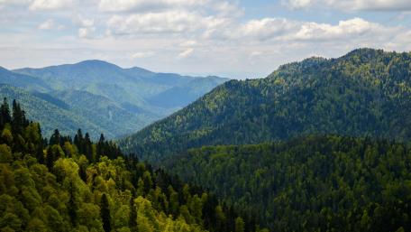 Majestic Green Mountain Landscape in 4K Nature Wallpaper wallpaper