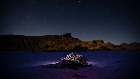 Starry night wallpaper