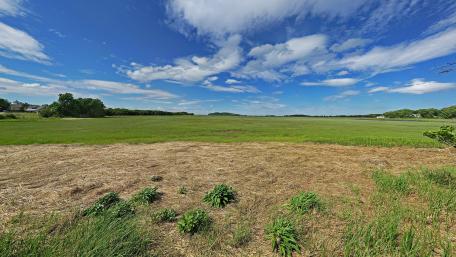 Vast Green Field Under Open Sky wallpaper