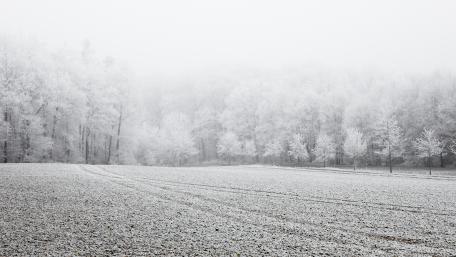 Winter Serenity in a Snowy Landscape wallpaper