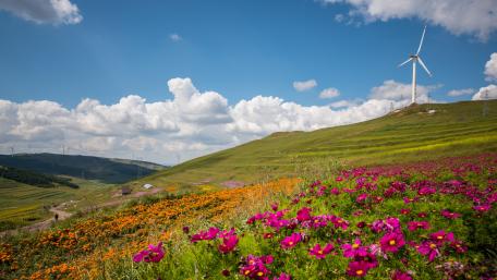 Breathtaking Green Hills with Wind Turbines in Blooming Nature wallpaper