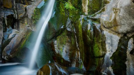 Serene Waterfall Embracing Nature's Beauty wallpaper