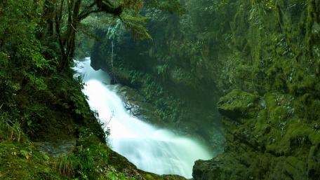 Serene Jungle River Flowing Through a Ravine wallpaper