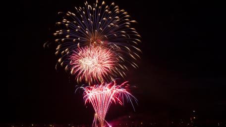 Vibrant Fireworks Lighting Up the Night Sky wallpaper