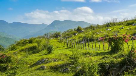 Tranquil Hillside with a Serene Fence View wallpaper