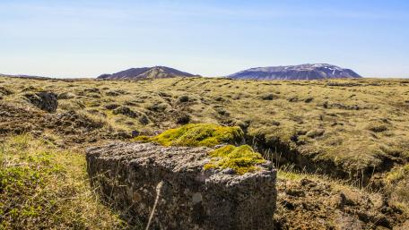 Serene Hillside Landscape in 4K Quality wallpaper