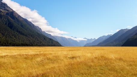 Valley wallpaper