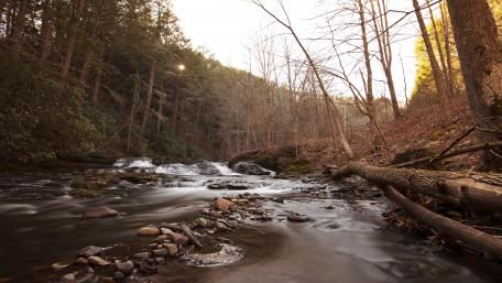 Autumn Serenity in a Forest Stream wallpaper