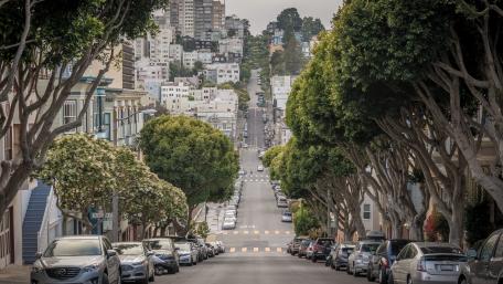 Charming Tree-Lined Urban Avenue View wallpaper