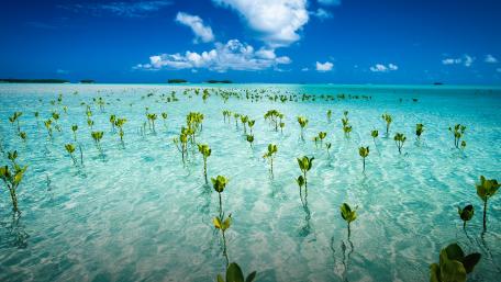 Funafuti Atoll wallpaper