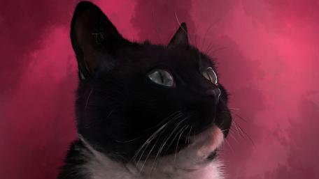 Majestic Cat in Dreamy Pink Hues wallpaper