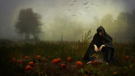 The pumpkin whisperer wallpaper