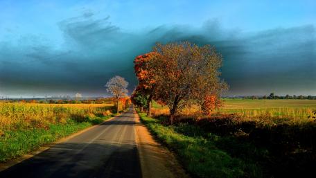 highway by bicycle wallpaper