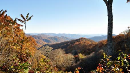 Autumn Mountains Panorama Wallpaper wallpaper