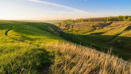 Rolling Hills in Tranquil Beauty wallpaper