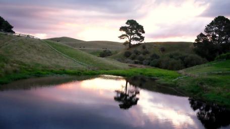 Serene Reflection of a Solitary Tree at Dusk wallpaper
