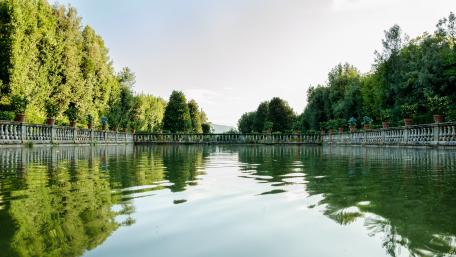 Serene Reflections in a Lush Park Scene wallpaper