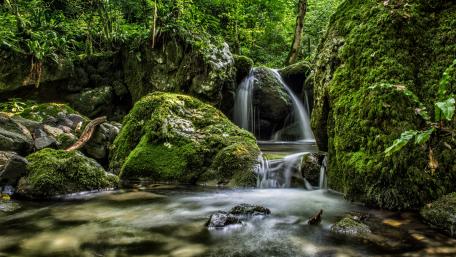 Serene Waterfall in Lush Greenery wallpaper