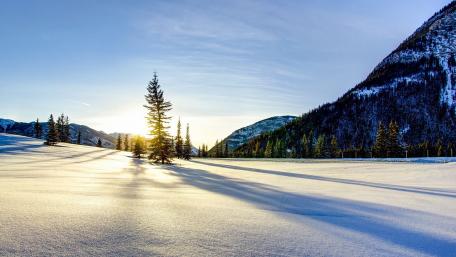 Winter Serenity in Sunlit Snowfield wallpaper