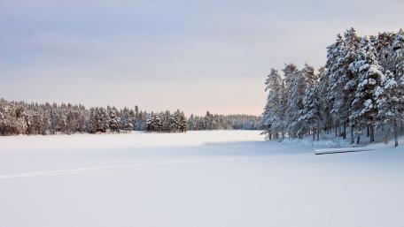 Serene Winter Wonderland Scene wallpaper
