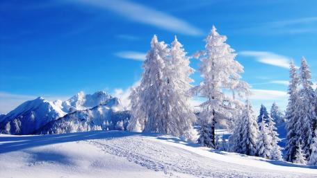 Winter Wonderland in a Blue Sky wallpaper