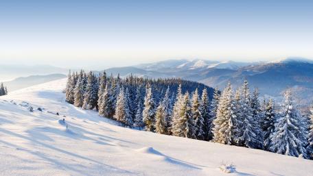 Winter Wonderland Scene with Majestic Mountains and Snowy Pines wallpaper