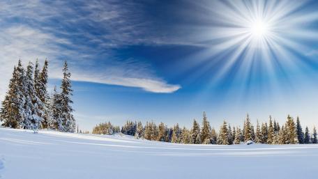 Winter sunshine wallpaper