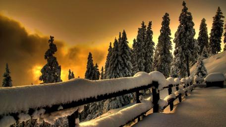 Snowy fence wallpaper