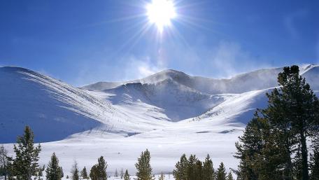 Majestic Winter Wonderland wallpaper
