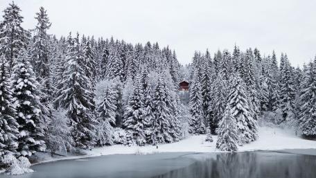 Serene Winter Cottage in a Snowy Forest Landscape wallpaper