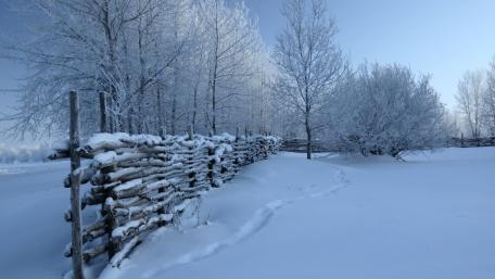 Winter Serenity in a Snowy Landscape wallpaper