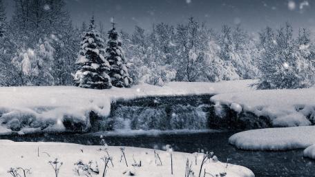 Enchanted Winter Wonderland in Monochrome wallpaper